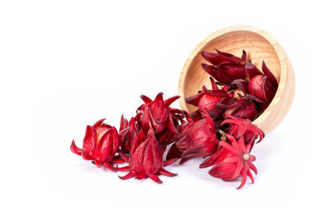 Hibiscus Sabdariffa Flower Extract